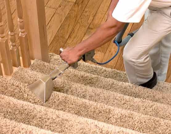 carpet cleaning wembley